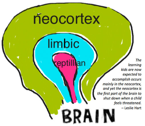 neocortex graphic fixed