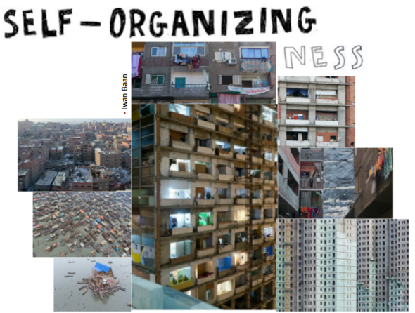 self organizing graphic